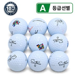 혼합 골프 로스트볼 A급 10알/빅토리