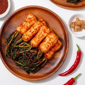[더조은] 햇살담은 국내산 총각김치 1kg