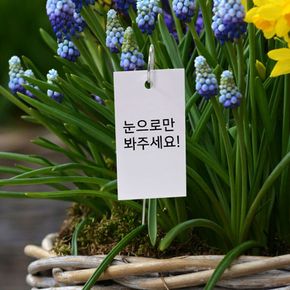 이름표 걸이 금속 꽂이 S