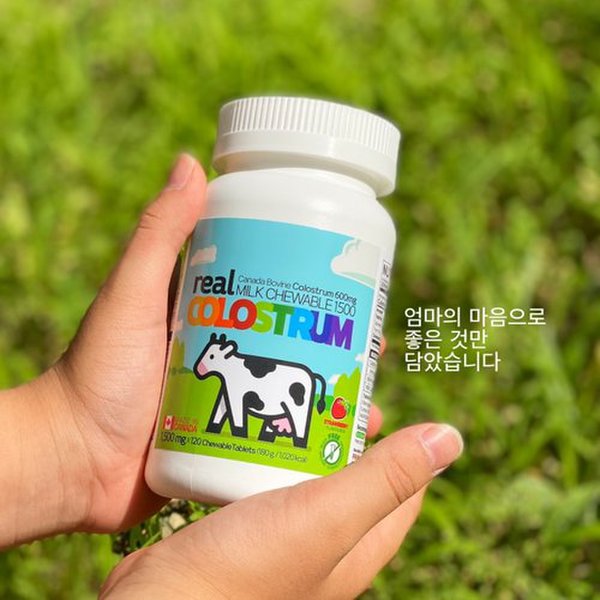 캐나다산 자연방목 화학적 부형제없는 초유 성인단백질보충 리얼초유츄어블 120정*3병