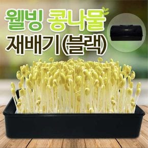 베란다텃밭 웰빙 콩나물 새싹 재배기 블랙 수경재배기 싹틔우기 배란다텃밭