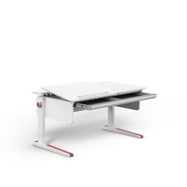 moll Champion Desk