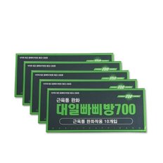 대일 빠삐방700 자기발생기 파스10개입X 5box 총50개