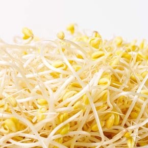 국내산 아삭한 산소 콩나물 3kg