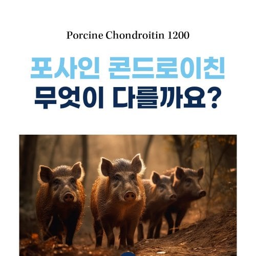 상품이미지8