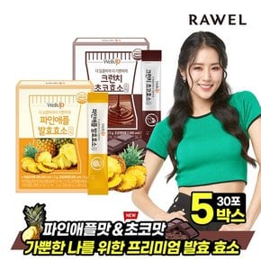 웰업 발효효소 파인애플맛&크런치 초코맛 5박스, (5개월분)