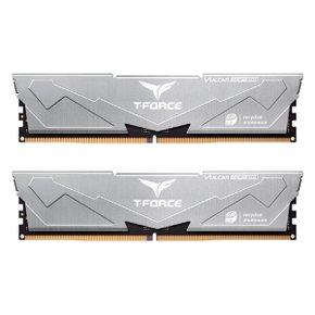 TeamGroup T-Force DDR5-6000 CL30 Vulcan ECO 패키지 서린 (32GB(16Gx2))