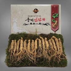 5년근 수삼 1채 750g (15-20뿌리)