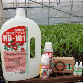 HB-101 유기농 식물 화분 화초 다육 관엽 뿌리 분재 활력제 영양제 비료 hb101