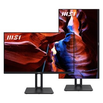 아이코다 MSI MP251P IPS 100 아이에르고 피벗 무결점