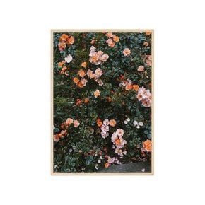 그림액자 ROSE POSTER, 파인리틀데이