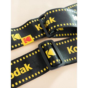 필름 모티브 캐리어 벨트
