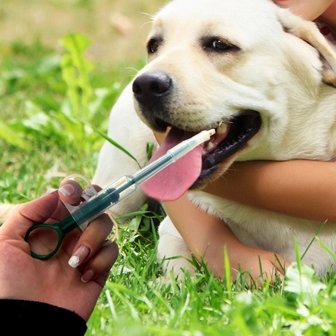  강아지 고양이 약먹이기 디스펜서 필건