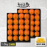 [1/6순차출고][천년고수][2박스]상주곶감선물세트 반건시 20과(50g~55g/1.0kg)