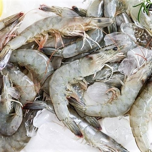 [생물][국산] 토실토실 생새우 (35-45미) (1kg)