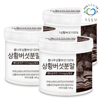 푸른들판 100% 상황버섯 분말 100g 3통 베타글루칸 함유 진흙버섯 목질진흙버섯 상황버섯균사체 뽕나무상황버섯 차