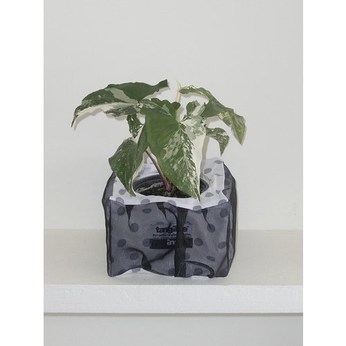 image9