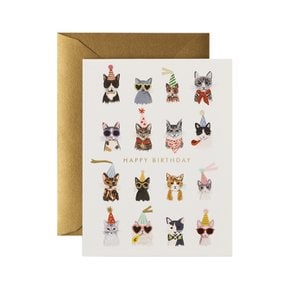 Cool Cats Birthday Card 생일 카드