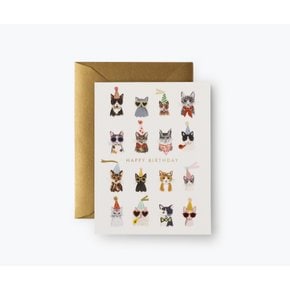 Cool Cats Birthday Card 생일 카드