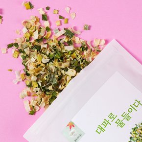 이제주 대파로 물들이다 100g 3팩 제주산 대파후레이크