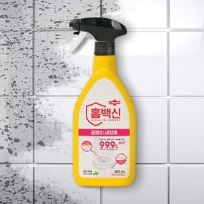 II 애경 랩신 홈백신 곰팡이 세정제 600ml ( 욕실 주방 타일 변기 살균 세정