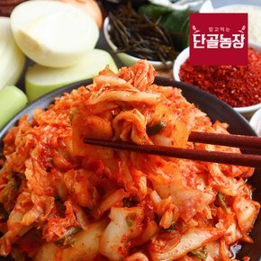 단골농장 국내산 전라도 갓담근 썰은 배추 맛김치 5kg