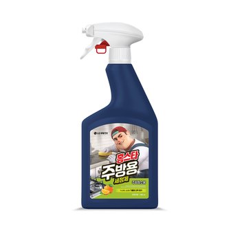 홈스타 주방용 세정제 900ml 주방청소용