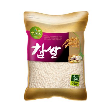 현대농산 국산 찹쌀 5kg