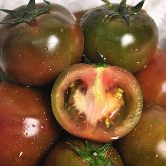 푸르젠 보성 산지직송 달콤아삭 흑토마토 2kg