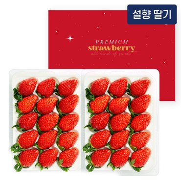 수플린 [사전예약 1/13 순차출고] [산지직송] 생딸기 설향 800g(24~30과)