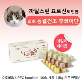 후코이단 큐브 (고양이 전용 후코이단)