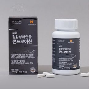 칠갑상어 연골 콘드레이친 철갑상어 콘드로친 콘드로이 콘도리친