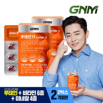 GNM자연의품격 루테인11 2박스 / 비타민 6종 + 미네랄 4종 눈건강 비타민B 아연 엽산