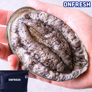 신세계라이브쇼핑 [선물포장] 완도활전복 1kg 10-11미 (미당91g내외)