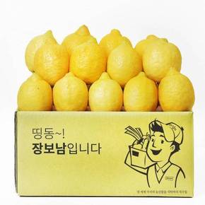상큼 톡톡 직수입 펜시 레몬 대과 20과