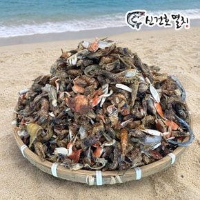 국산 육수용 잡어 1kg 국물용 무거리 육수재료 대용량