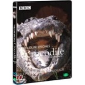 (DVD) 악어  : 와일드라이프 스페셜
