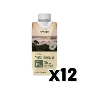 일일하우 마시는식물성프로틴밀 비건음료 250ml x 12개