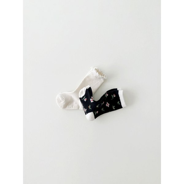 몰티즈세트 maltese dog set