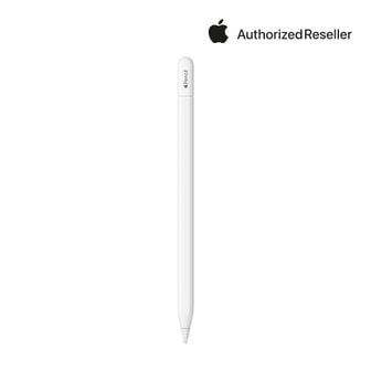 애플 애플펜슬 Pencil (USB-C) MUWA3KH/A