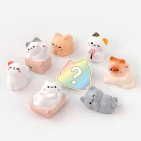 /문구앤토이스 [일정] 랜덤 집냥이 미니어처