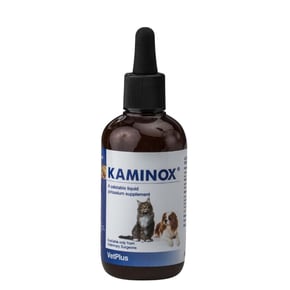 KAMINOX 카미녹스 (고양이용 칼륨 영양제) 60ml