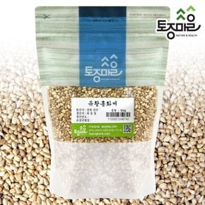 국산 유황홍화씨 500g