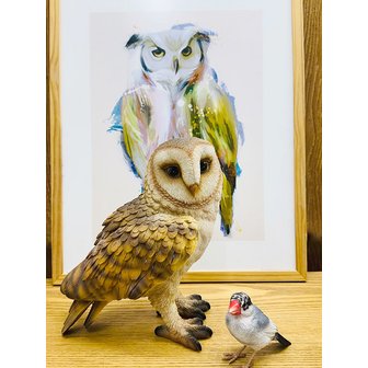 BRISKSTYLE 펫뱅크 원숭이 올빼미