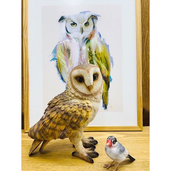 펫뱅크 원숭이 올빼미