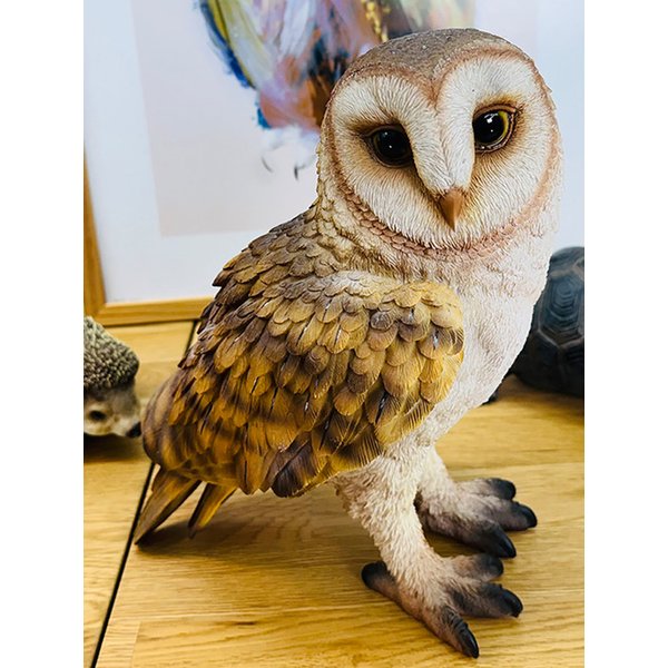 펫뱅크 원숭이 올빼미