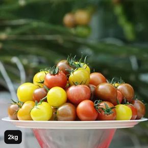 오색 칵테일 토마토 2kg[34236708]