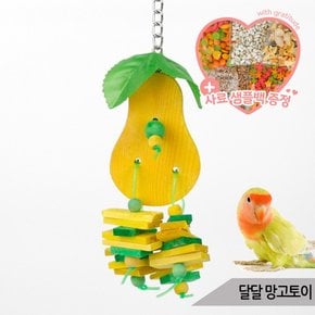 달달 망고토이 앵무새 장난감 나무토막 입질 알록달록