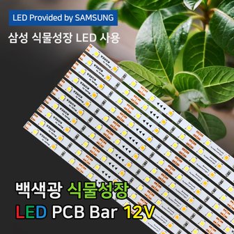 파인라이트 슈퍼팜 LED 식물등 백색광 (PCB타입) 2023년형 신제품 식물 성장 생장 재배