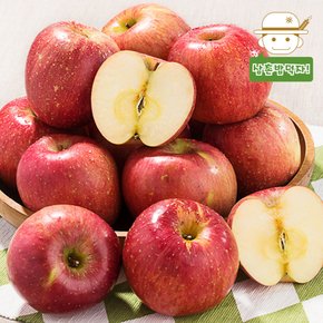 의성에서 보내드리는 꿀당도 사과(꼬마) 3kg